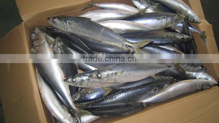 precooked mackerel loins