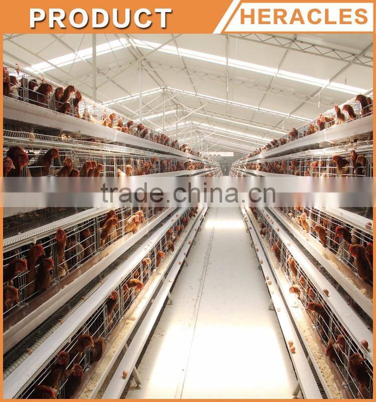 Factory price automatic layer cage for sale