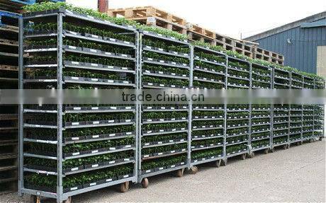 Flower Trolley.Danish Trolley.Display Trolley. Garden Tool Cart, Steel Rolling Trolley Tool cart.Greenhouse Cart