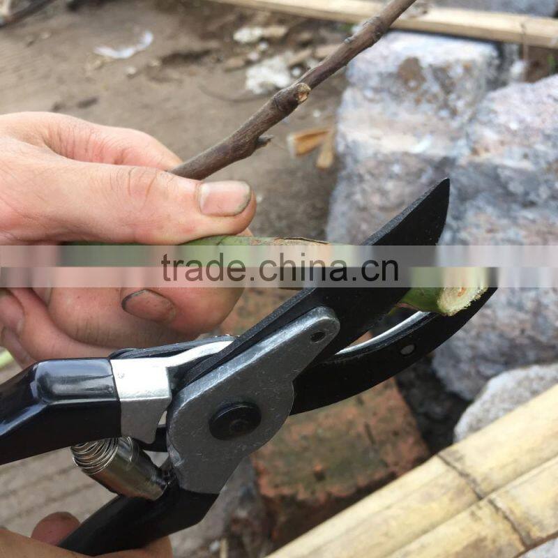 NO.SL4482 3pcs garden pruner set
