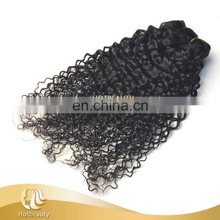 2015 Hot Sale Wet And Wavy Brazilian Hair Kinky Curly Virgin Hair