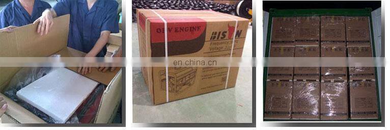 BISON China Find Champion Hot Sale Portable 5KW Generator from China