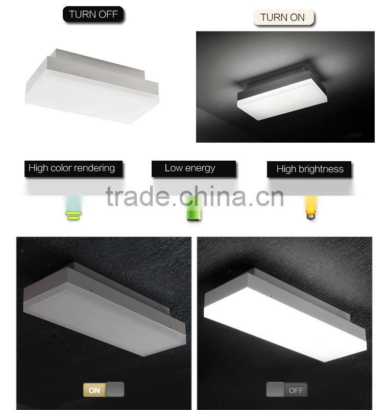 Surface mount ceiling led light the lamp for living room