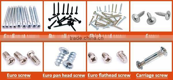 Hot sale various colors brass plated wood screw