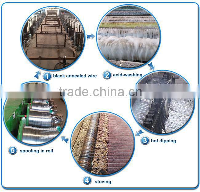 alibaba china supplier galvanized wire