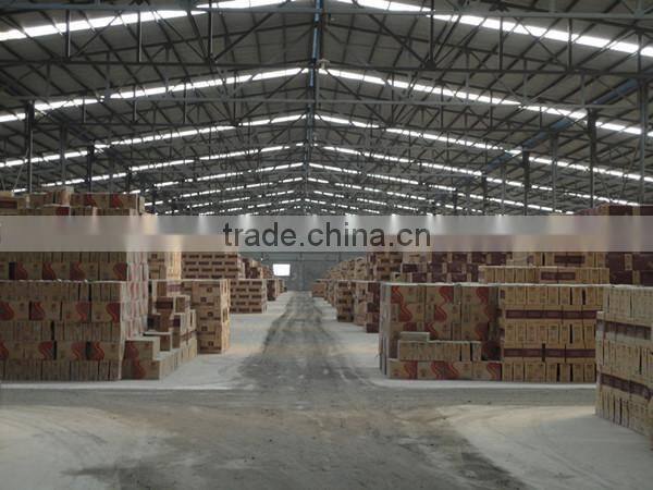 60x200mm full body wall tile,exterior wall tile,quality wall tile,outside wall tile