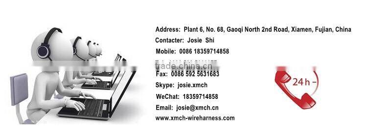 Wire to Board Assembly Wire Harness