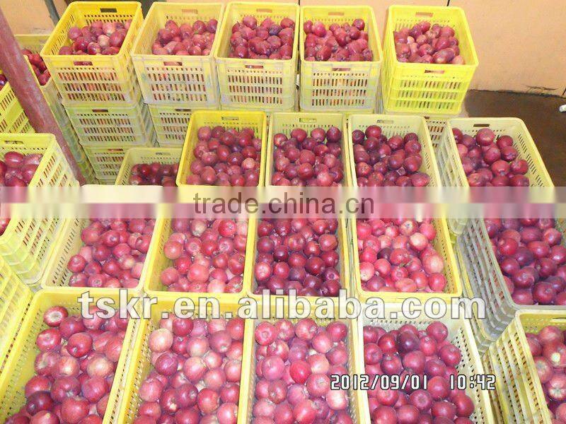 himachal apples from apple hometown