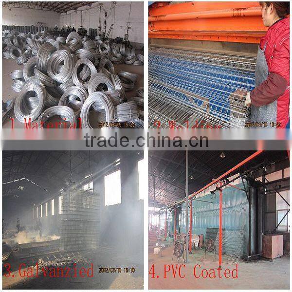 2014 Factory galvanized and pvc coated coated 868/565 Double wire mesh fence panel (Professional ,Since 1989 )