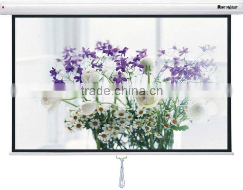 holographic display/Manual self-lock projector curtain