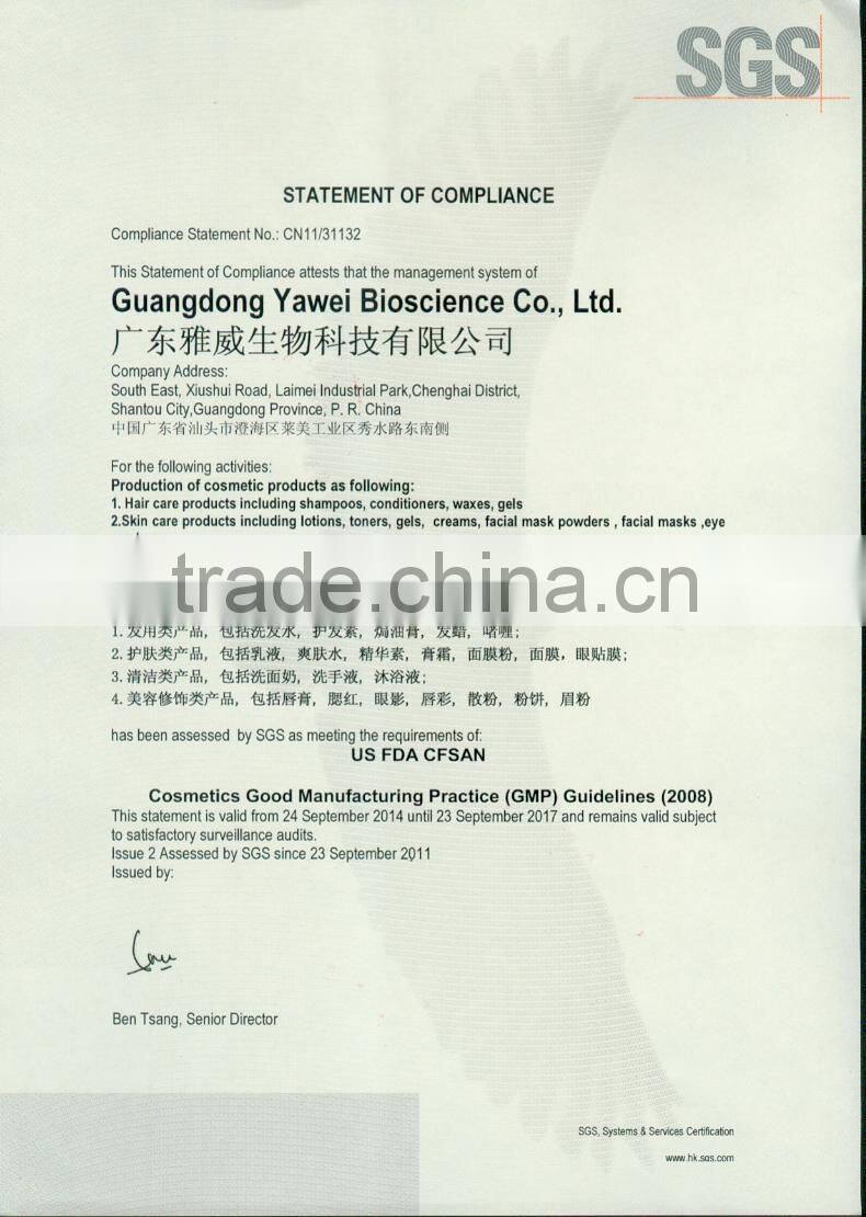 New Square Double Colors Lipstick for Bit Lips Makeup