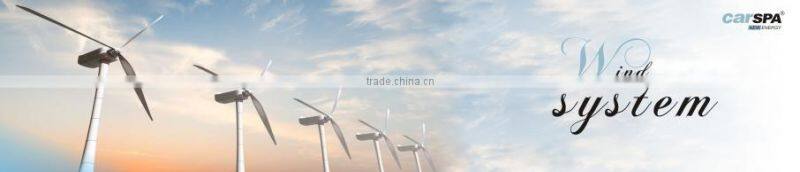 1000W wind system including wind generator+ blade+ controller -FB1000L