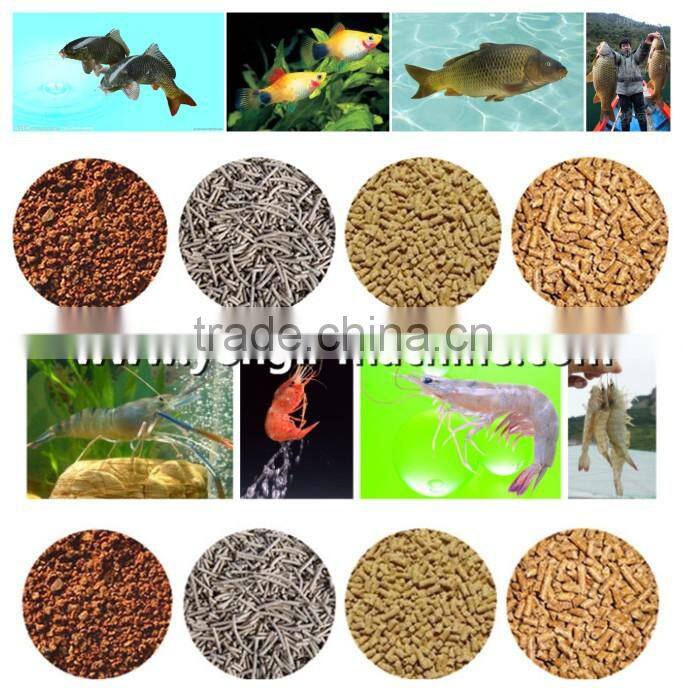 Automatic aquarium fish food feed production line equipment