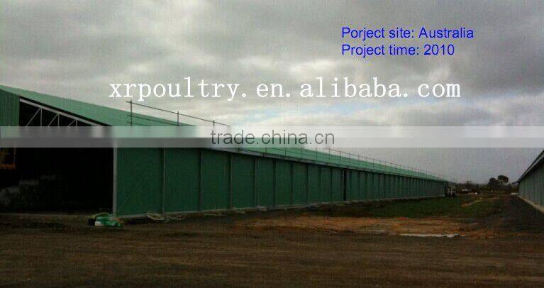 modern chicken egg poultry farm building