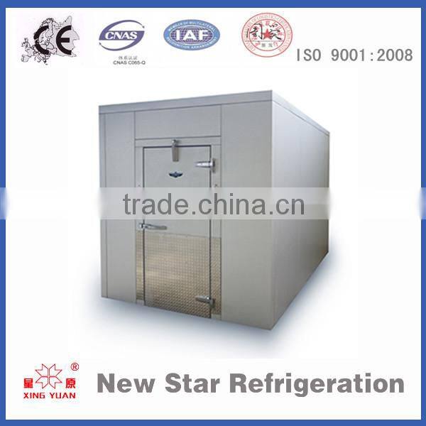 Cold room double swing door with pu panel