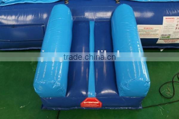 Hot Commercial Grade Cheap Dolphin Water Slide ,28ft Castle Slide