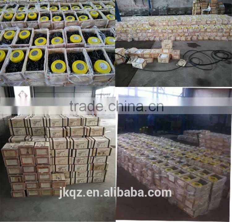 Stable Operating High Performance Chain mechanical Hoist