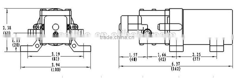 Sailflo DC 80PSI 4LPM 12V/24V Auto High Pressure Mini Garden Water Pump