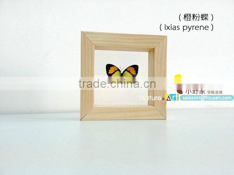 FOUSEN(011) Nature& Art natural species gift souvenir