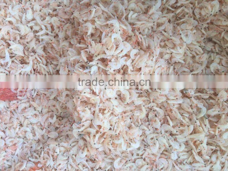 dried salted baby shrimp