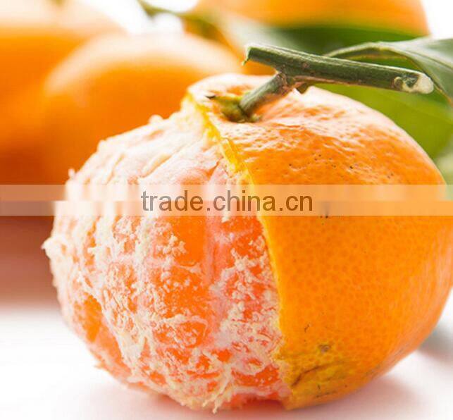 Citrus Fruit Product Type fresh oranges chinese orange price
