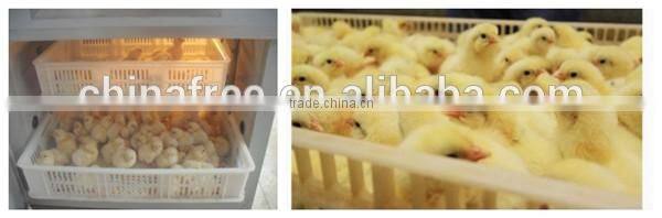 Professional incubator for egg in japan egg incubator sale