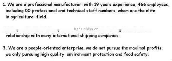 Dehydrated Carrot Without Sugar From China