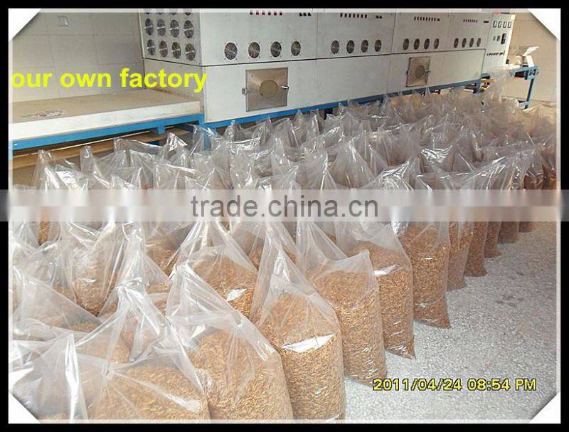 microwave dried mealworm in transparant bag