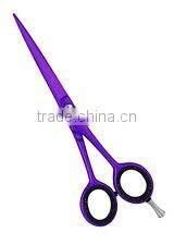 Professional Hairdressing Scissors