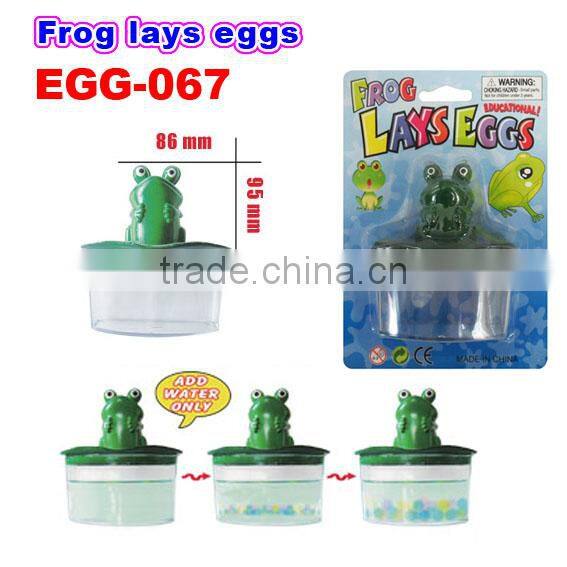 Magic Water Growing Dinosaur Toys/Dinosaur Lays Eggs
