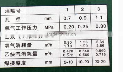 BERRYLION polished treatment cutting and welding torches, regulators G-100