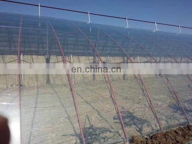 6 mil Three / Five Layers Tube clear Greenhouse film for agriculture