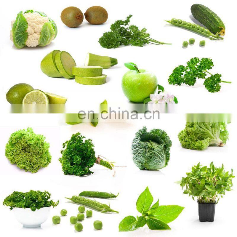 vegetable washing machine industrial carrot washer machine automatic fruit and vegetable washer