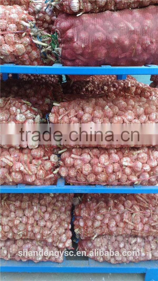 The Best Vegetable Product from China Fresh Garlic