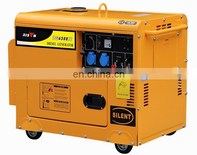 BISON(CHINA) China Supplier Diesel Power SIlent Leading LDE6800T Generator