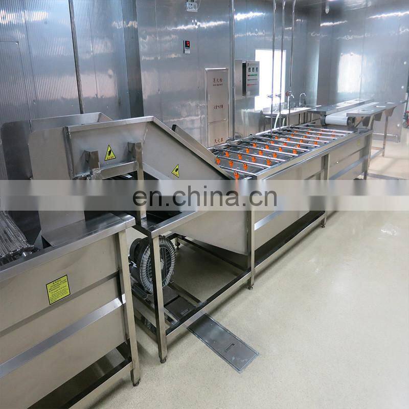 Industry Ultrasonic Fruit Processing Line Fruit Washer / Vegetable Washing Machine