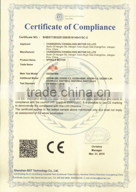 Changsheng sealing side spindle 700/750w air cooled(GDZ70*62-700w/750w )