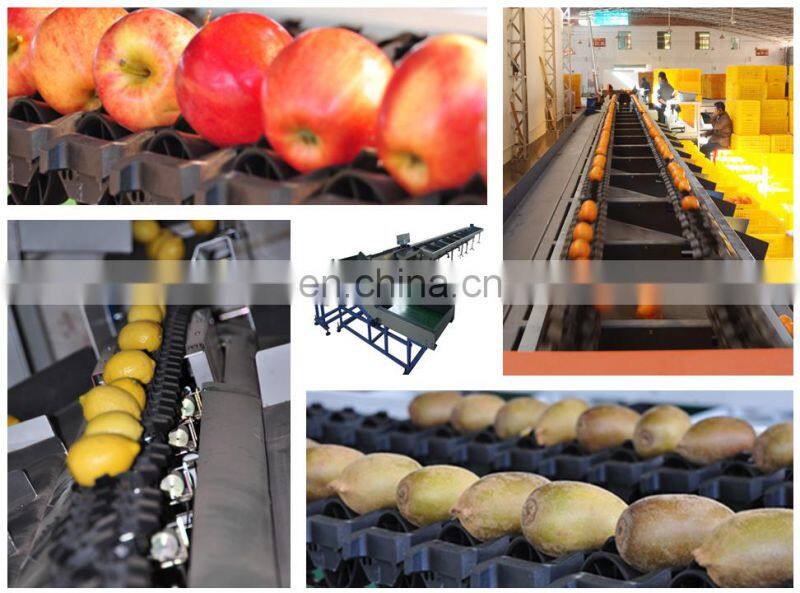 Automatic cherry tomato size grading sorting machine auto small tomatoes fruit lychee sizing sorter grader cheap price for sale