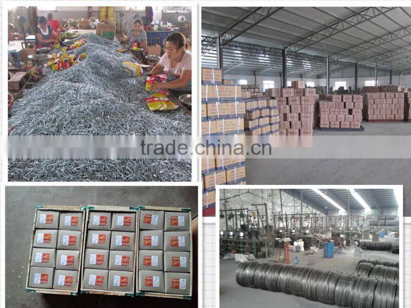 Factory Price Nail Making Mould