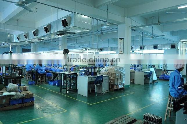 Mini 12v 70w 250rpm DC gear electric motor