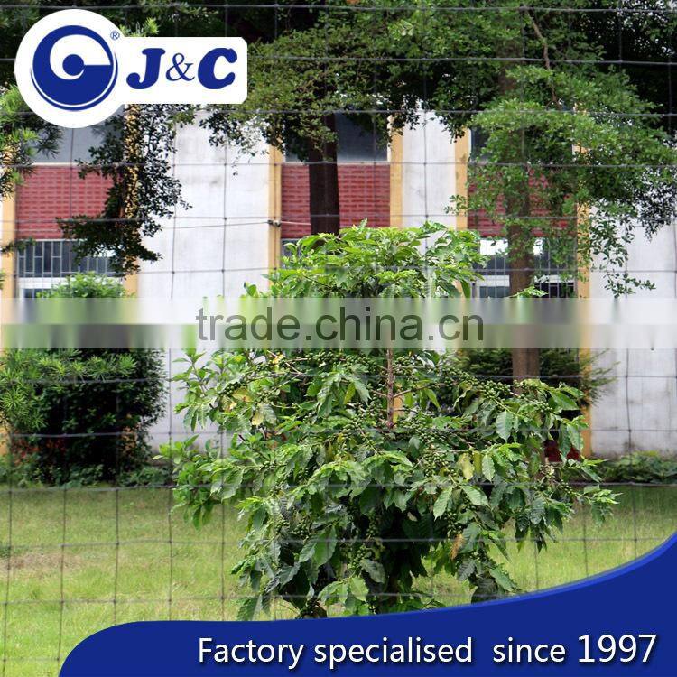 anti Bird protection netting use for vineyard, anti Bird protection net,PE anti bird netting