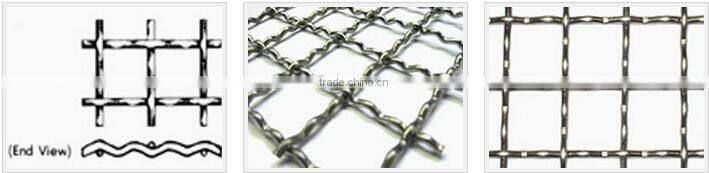 stainless steel crimped wire mesh/galvanized crimped wire mesh