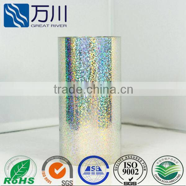 Pet spangle sequin film 2014