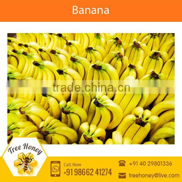 Fresh Yellow Banana for Sale