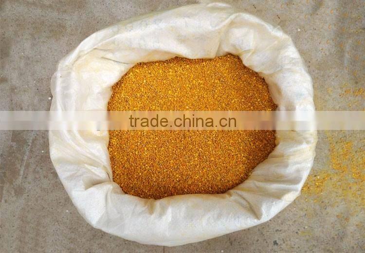 Glorious Future Health Honey Products Fresh Bee Pollen For Bee Animal Feed