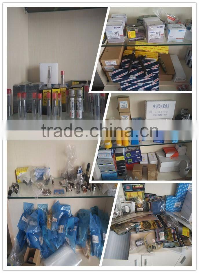 0 445 120 304 CR nozzle DLLA144P2273, 0433172146 diesel Nozzle P2273