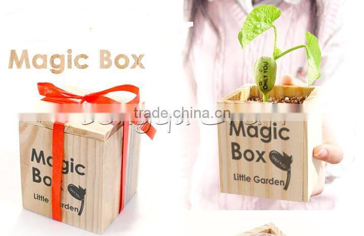 High Quality wood craft cheap creative box magic bean with words