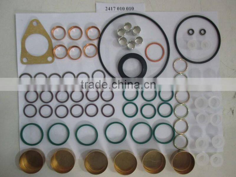 Fuel Injection Pump Repair Kit 800637