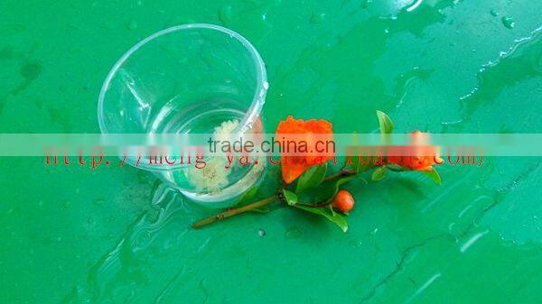 8oz disposable transparent plastic cup