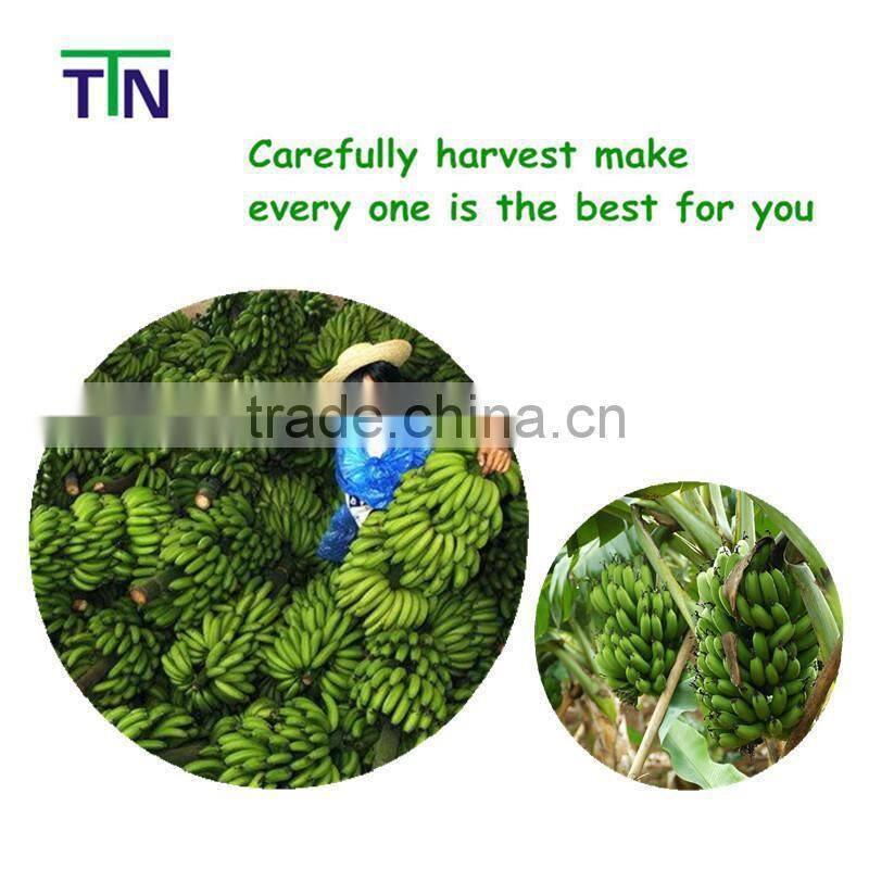 Freeze dried fruits and vegetables